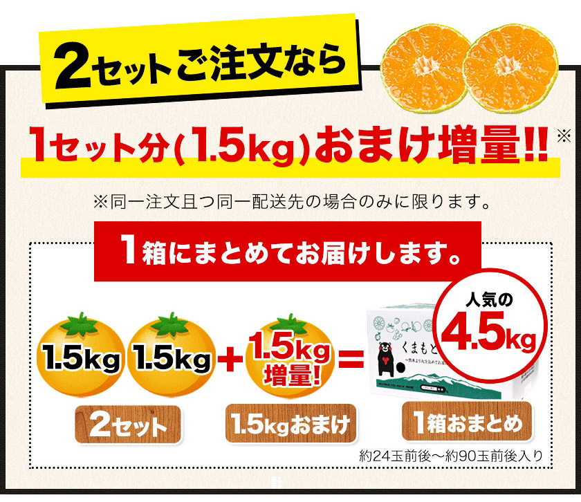 訳あり熊本みかん 1.5㎏ 送料無料 熊本 ミカン 果物 柑橘《10月中旬-11