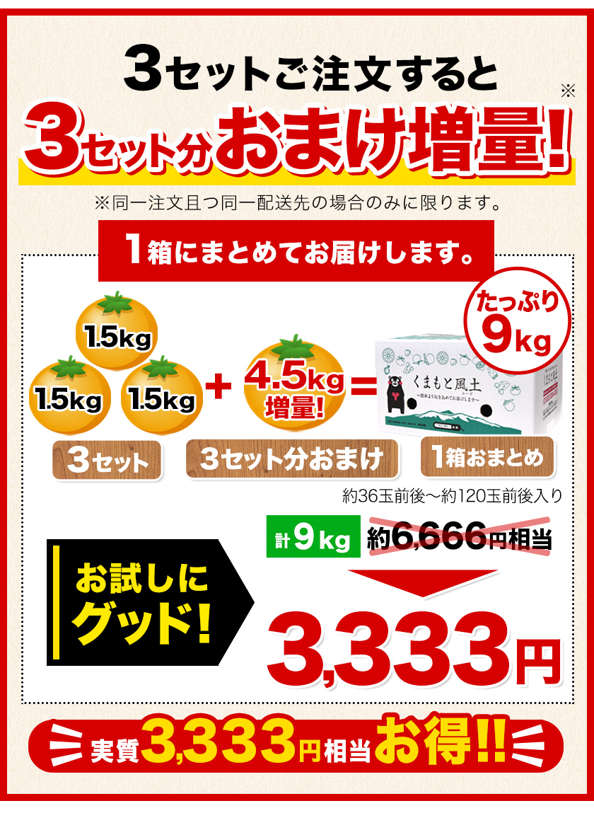 訳あり 清見 1.5kg 約6〜約20玉前後入 送料無料 熊本産 柑橘 旬 みかん