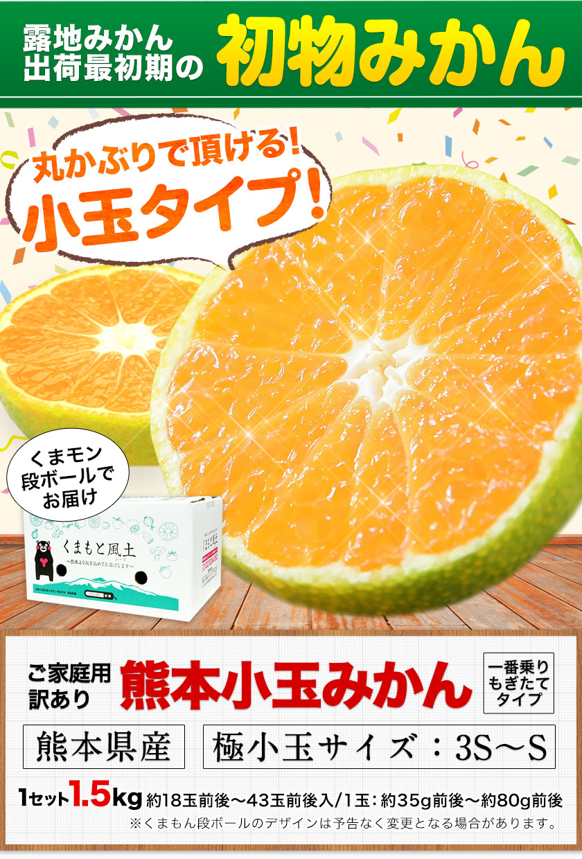 奇跡の再販！ みかん様 2点 ミカン様 リクエスト まとめ商品 まとめ