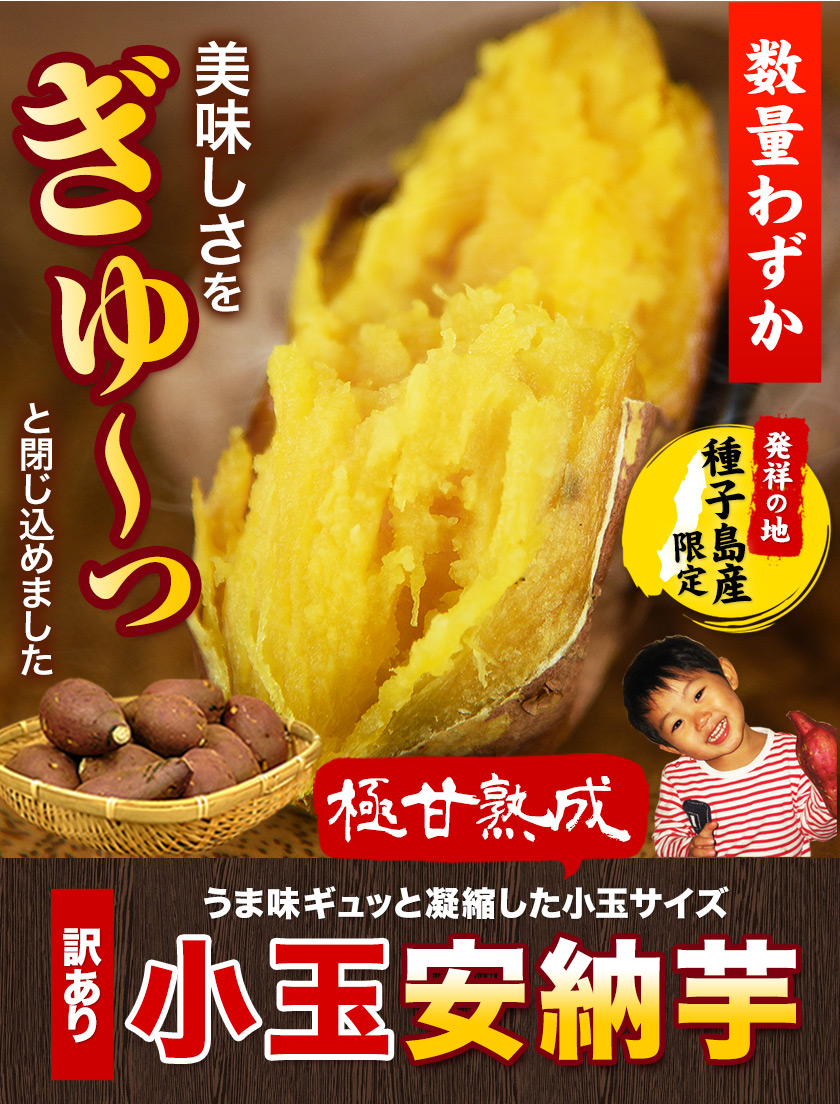 選べる さつまいも 訳あり 安納芋 紅はるか 小玉 送料無料 焼き芋