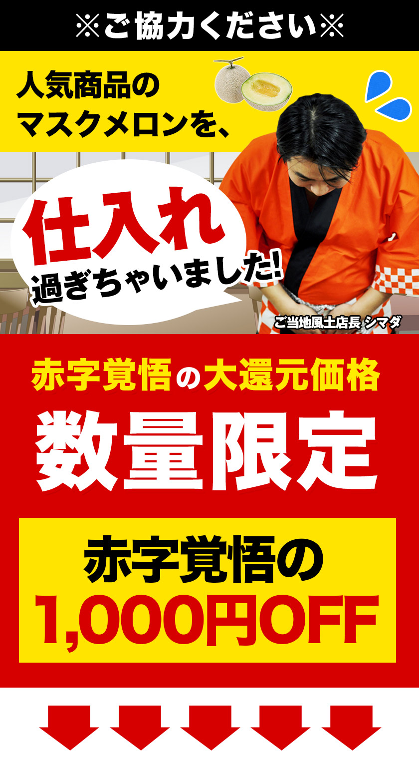セールで1000円OFF メロン 九州産 マスクメロン 秀品 2L 1玉 送料無料