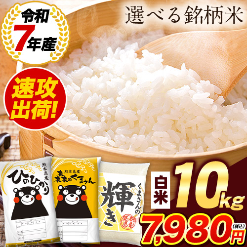 米 お米 選べる 10kg 白米 令和7年産 熊本県産 銘柄米 送料無料 ひの 