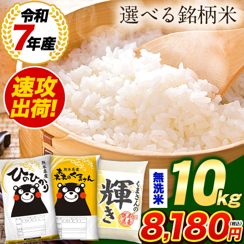 【 無洗米 5kg 森のくまさん】令和7年産 熊本県産 銘柄米 米の食味ランキング 特A受賞品種 国産 米 5kg 10kg 20㎏未満 <2営業日以内に発送予定>