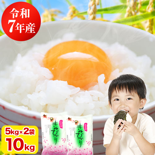 キヌヒカリ 米 10kg 令和7年産 精米 白米 お米 送料無料 単一原料米 単
