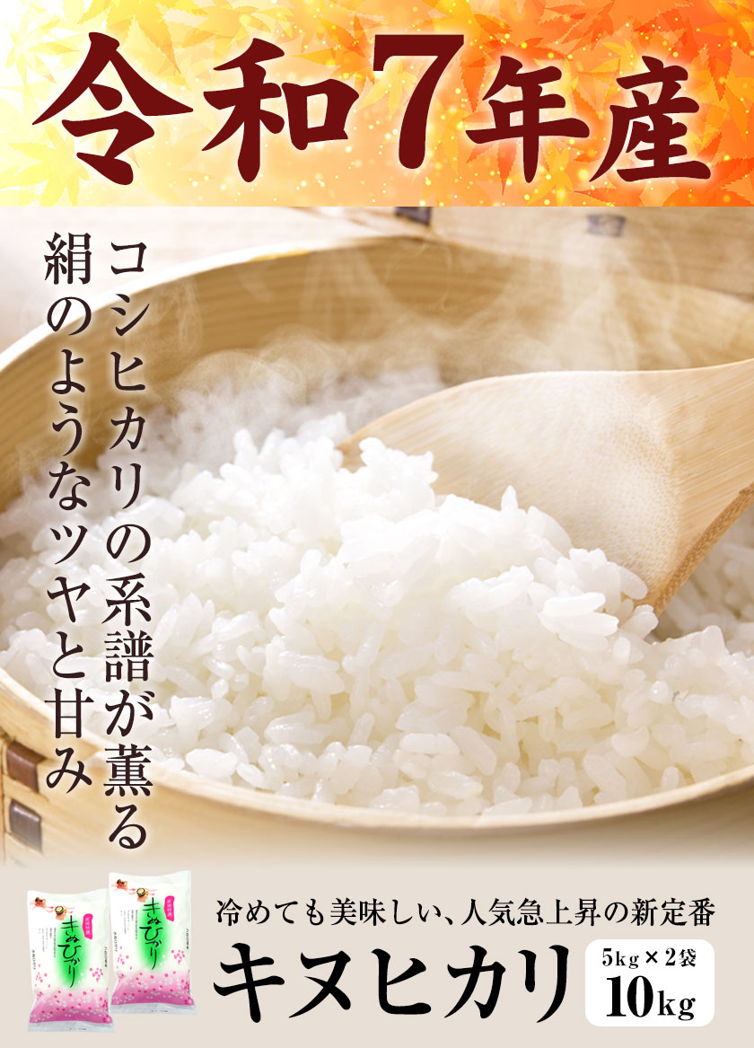 令和6年 三重県産キヌヒカリ 玄米20キロ 精米無料 【公式通販】