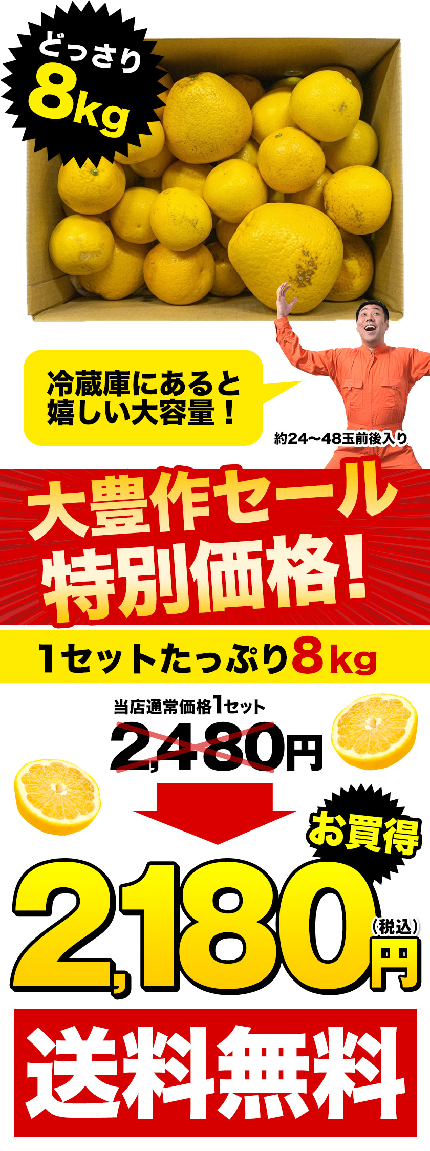 セールで2180円 大容量 8kg 河内晩柑 訳あり みかん 和製