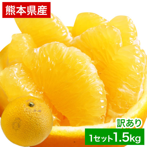 はっさく柑 (八朔・紅八朔) 1.5kg 送料無料 訳あり 熊本県産 みかん 