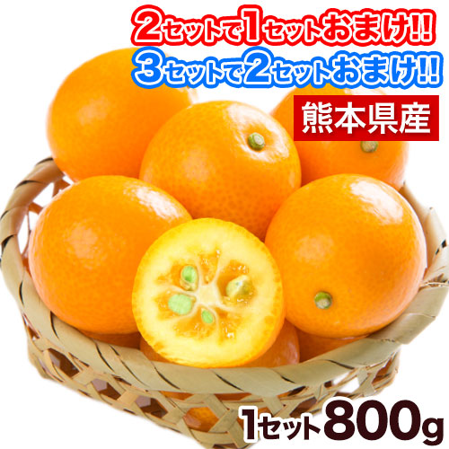 完熟 キンカン 800g 訳あり 送料無料 金柑 旬 の みかん 取り寄せ 通販