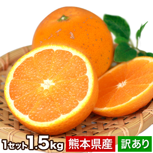 訳あり 清見 1.5kg 約6〜約20玉前後入 送料無料 熊本産 柑橘 旬