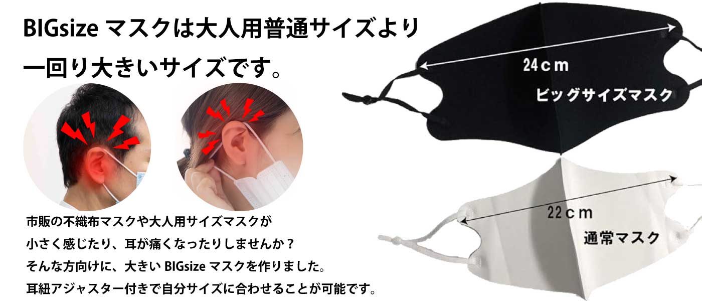 マスク 秋冬用 洗える 特大サイズ 2L 厚手生地 4枚入り 2セット目割引