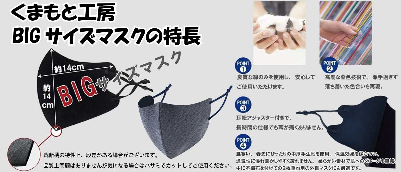 マスク 秋冬用 洗える 特大サイズ 2L 厚手生地 4枚入り 2セット目割引