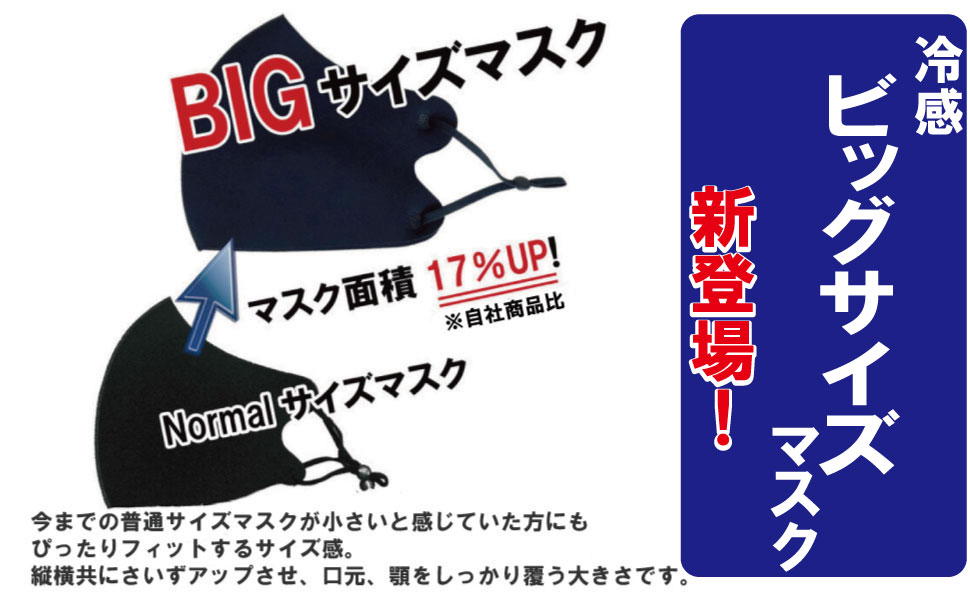 冷感マスク 夏用 大きなマスク 洗えるマスク 接触冷感 5枚セット 2