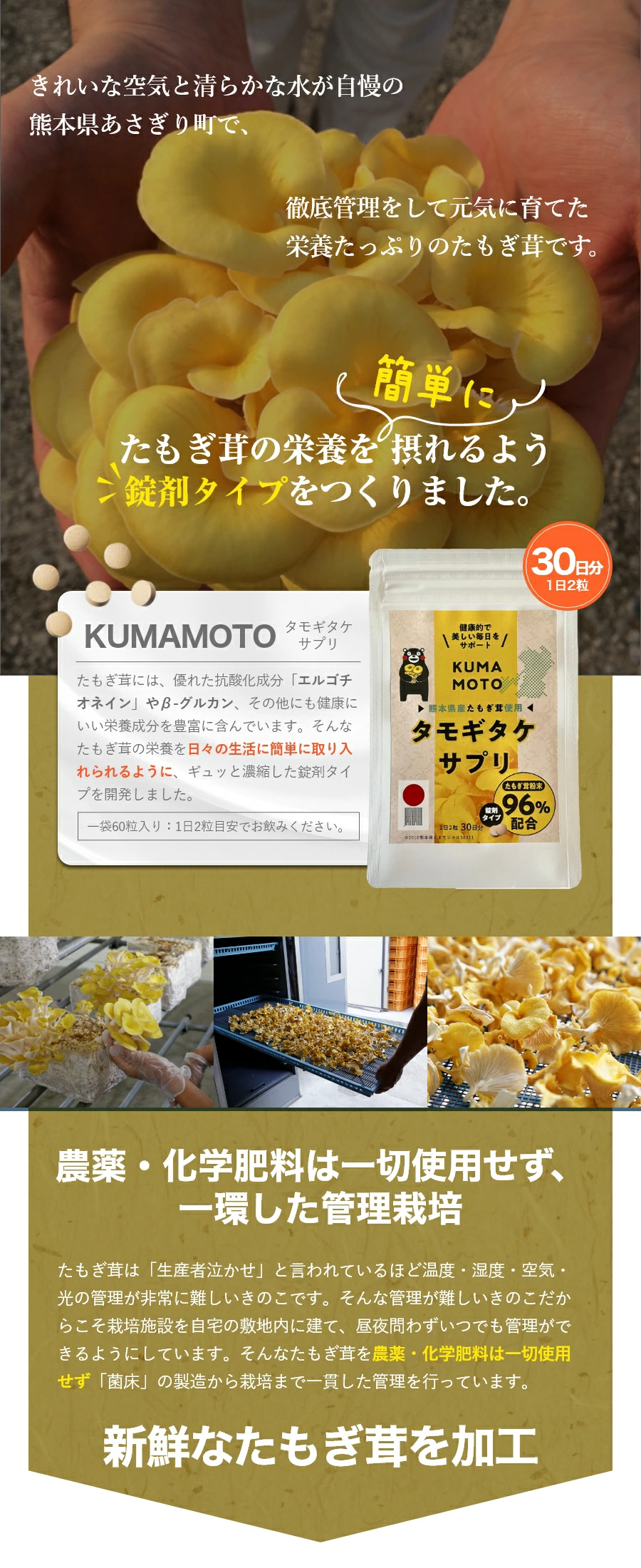 サプリメント たもぎ茸 エルゴチオネイン 抗酸化 食物繊維 健康 美容