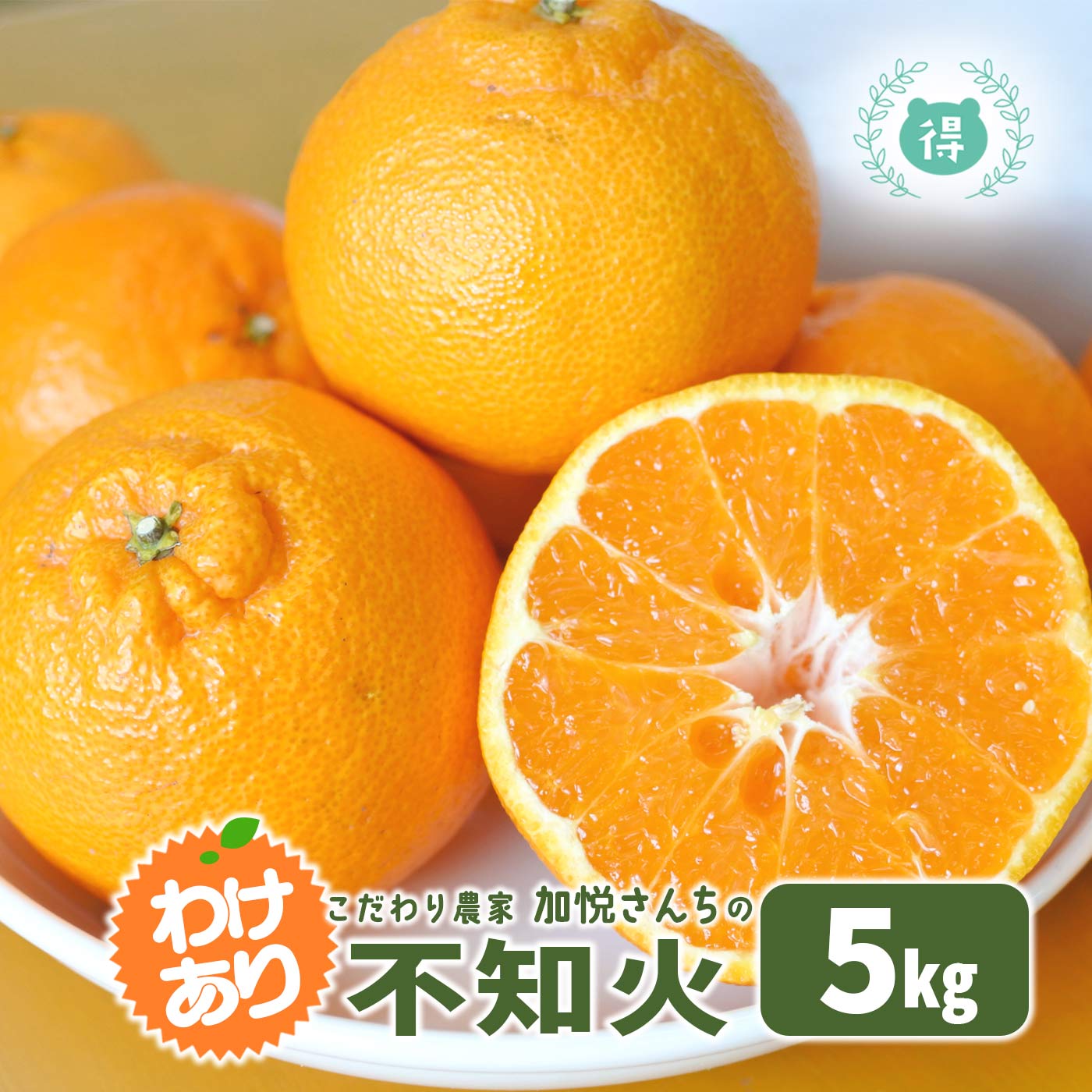 2月末〜3月発送予定 熊本県産 加悦さんちのちょっと訳あり不知火