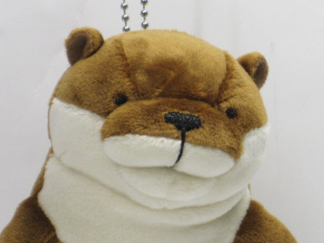 激レア！もちかわうそ白と黒　ミニサイズ 61rEKmC2x3L._UF350,350_QL80_.jpg