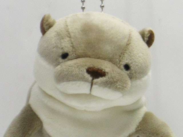 ぬいぐるみ カワウソ シナダ もちかわうそミニ : ぬいぐるみの