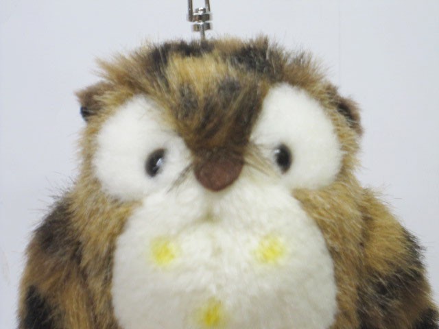 ぬいぐるみ フクロウ たけのこ プチ森のなかま ミミズク : ぬいぐるみ
