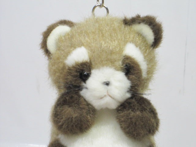 ぬいぐるみ アライグマ たけのこ プチプチどりーむ : ぬいぐるみ
