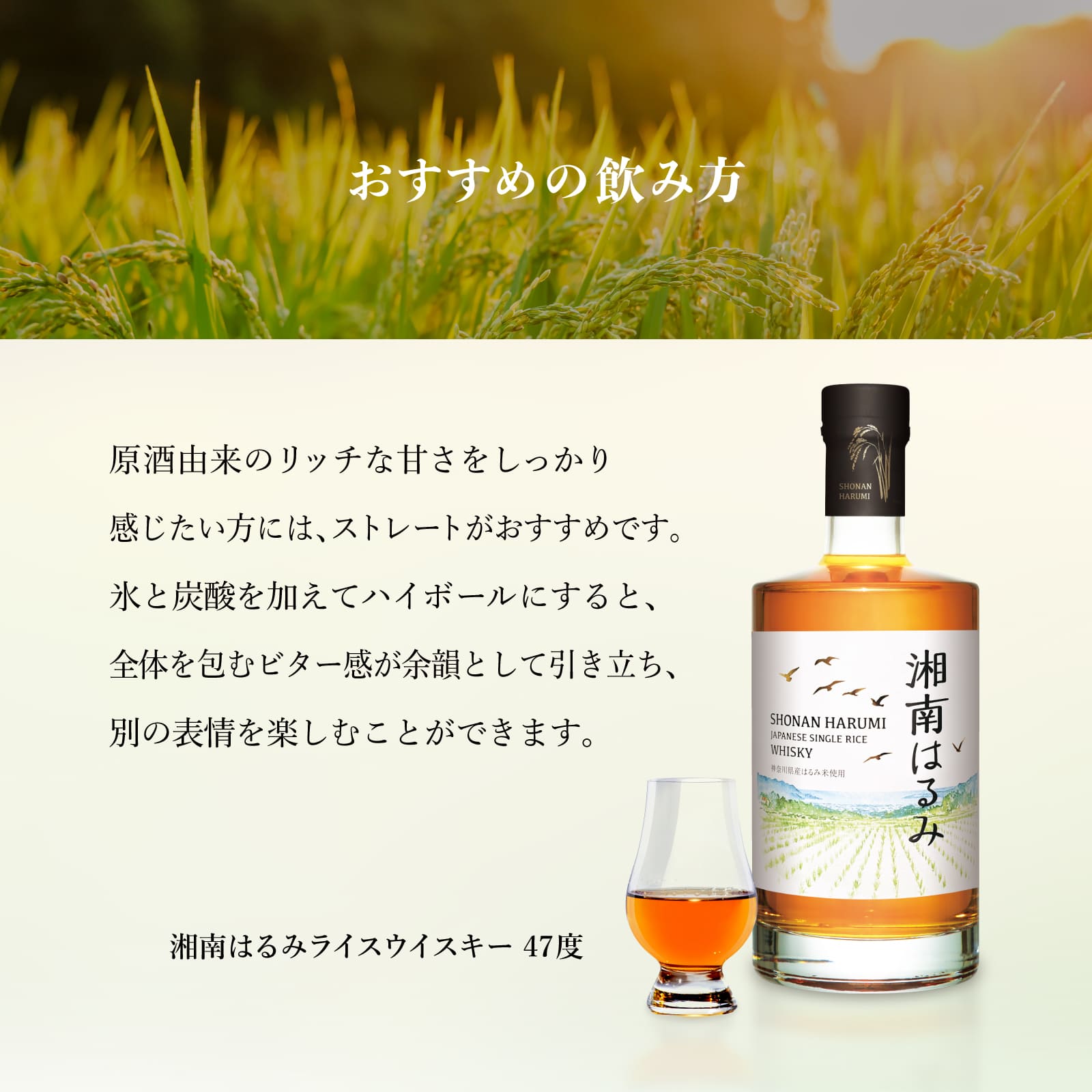 久米仙 湘南はるみ ジャパニーズシングルライスウイスキー 47度 700ml