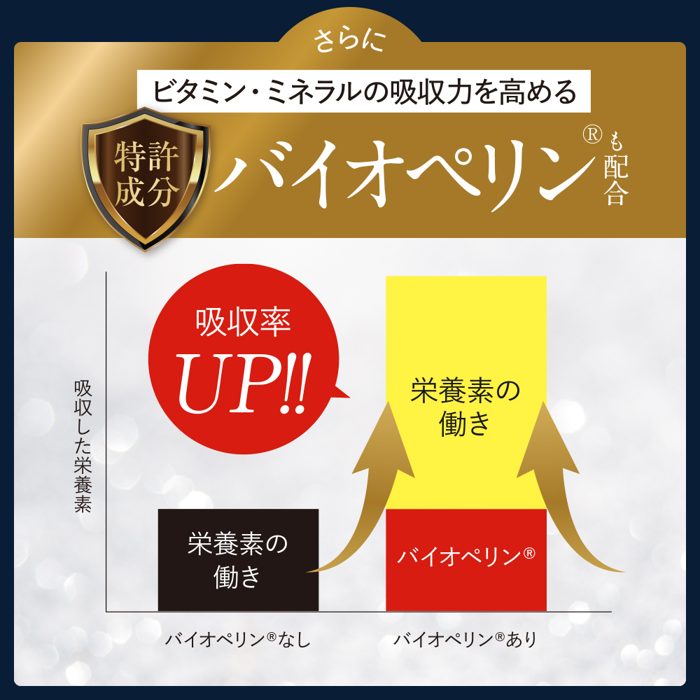 FASHION BODY ファッションボディ ダイエットサプリ 2箱 公式】ファッションボディ FASHIONBODY 2箱 置き換えダイエット