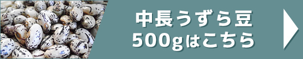 中長うずら豆 500g