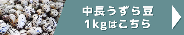 中長うずら豆 1kg