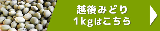 越後みどり 1kg