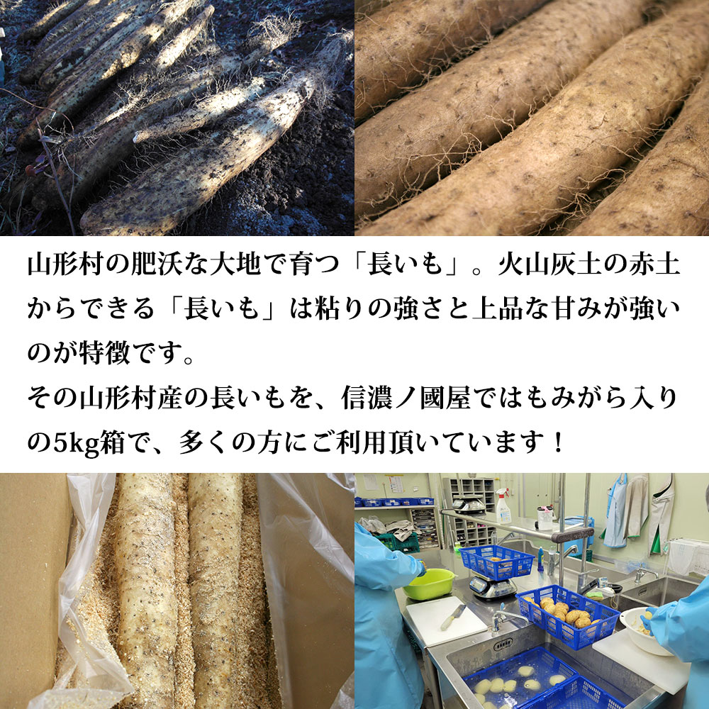 山形村の肥沃な大地で育つ「長いも」。火山灰土の赤土からできる「長いも」は粘りの強さと上品な甘みが強いのが特徴です。その山形村産の長いもを、信濃ノ國屋ではもみがら入りの5kg箱で、多くの方にご利用頂いています！