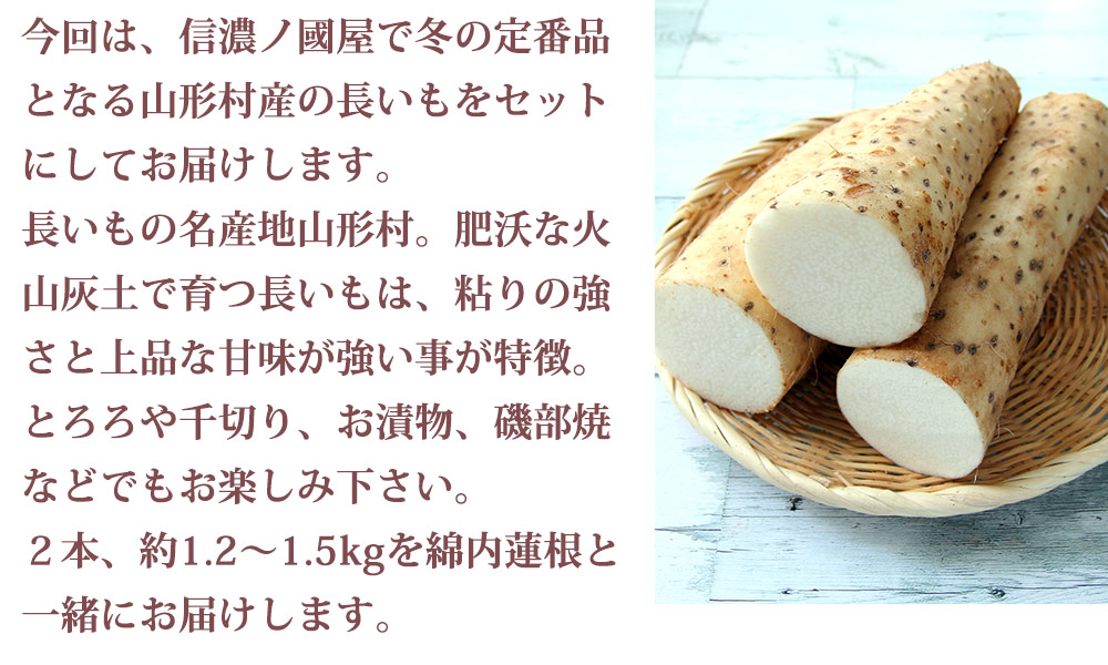今回は、信濃ノ國屋で冬の定番品となる山形村産の長いもをセットにしてお届けします。長いもの名産地山形村。肥沃な火山灰土で育つ長いもは、粘りの強さと上品な甘味が強い事が特徴。とろろや千切り、お漬物、磯部焼などでもお楽しみ下さい。２本、約1.2〜1.5kgを綿内蓮根と一緒にお届けします。