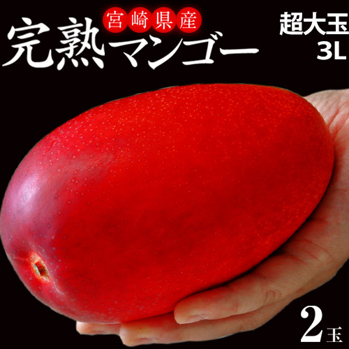 宮崎県産完熟マンゴー
