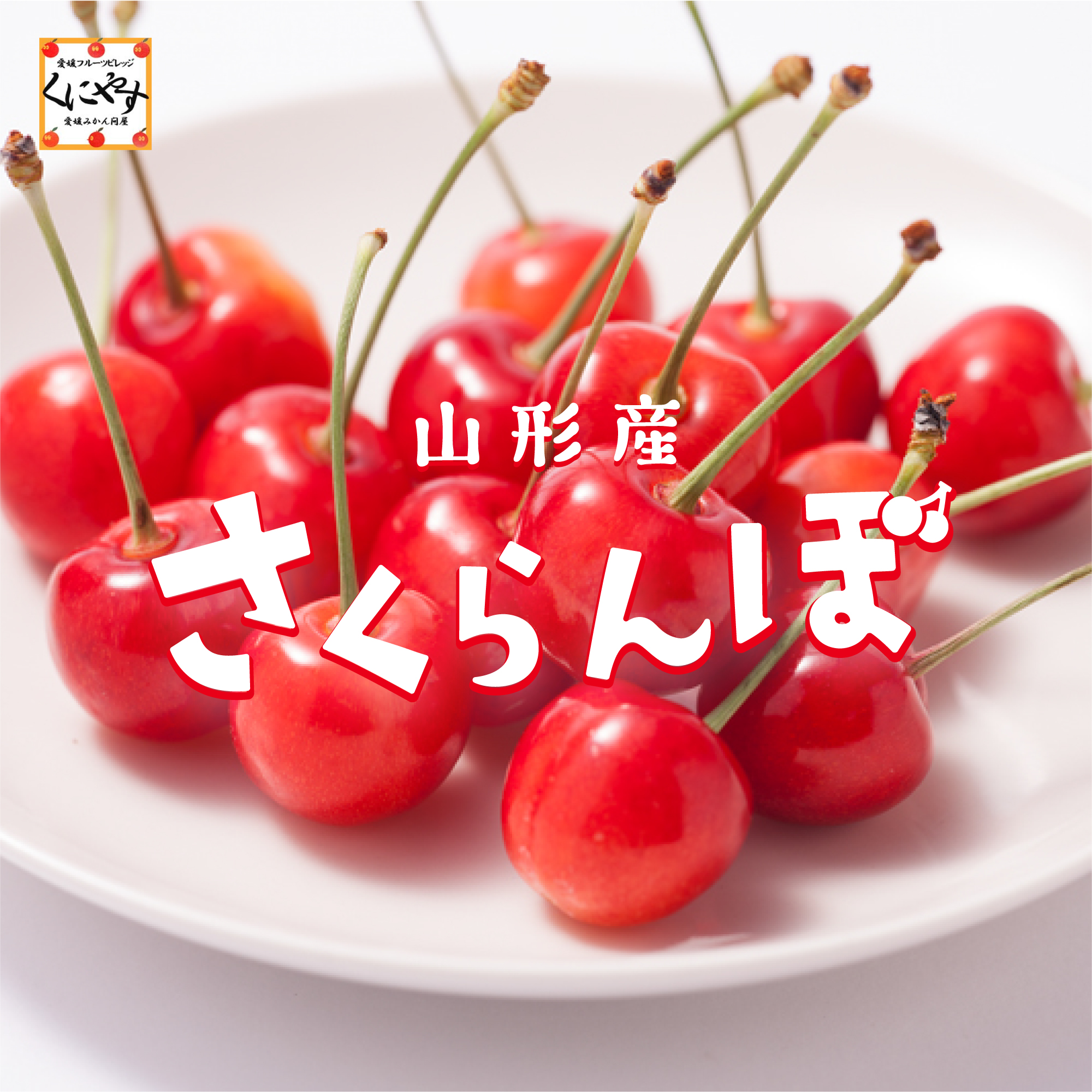 さくらんぼイメージ