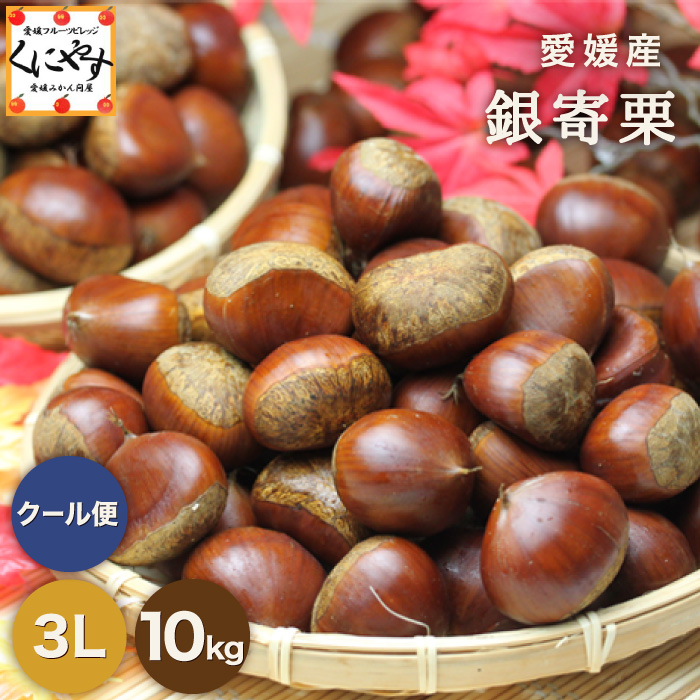 栗　銀寄栗　専用　3L3kg 銀寄栗のおすすめ人気商品一覧 通販 - Yahoo!ショッピング