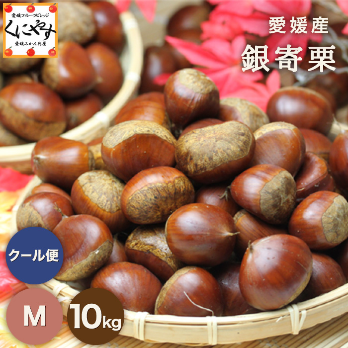 ルーク⭐︎プロフ読んで下さい様　生栗　10キロ 銀寄栗 10kg」【送料無料】【ギフト】【産地直送】【厳選品】【クール