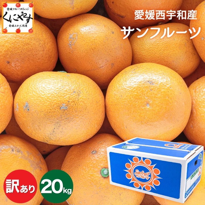 訳ありサンフルーツ5×2」【送料無料】【産地直送】愛媛西宇和産