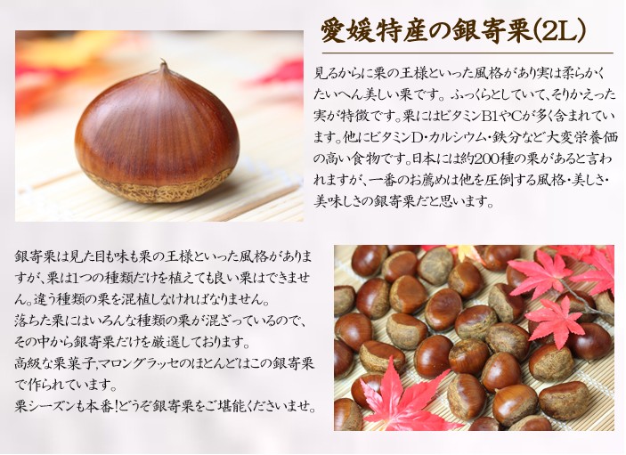 全国一律送料無料 9月下旬より順次発送 愛媛特産 銀寄栗2Lサイズ3キロ 銀寄栗2L3 highartegypt.com