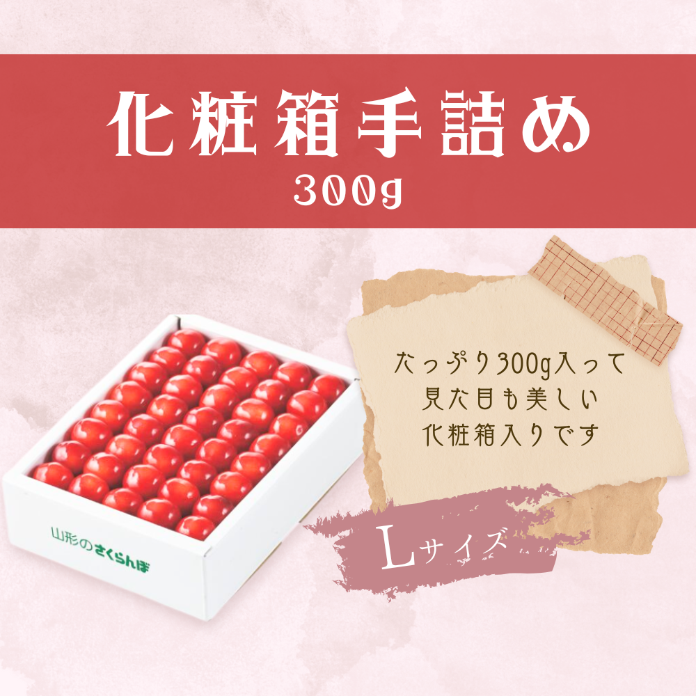 ラインナップ