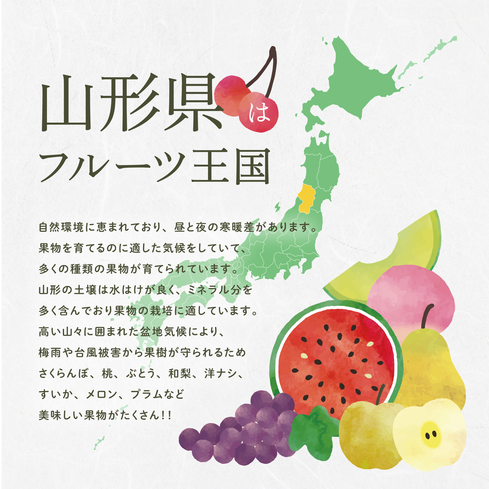 山形県はフルーツ王国