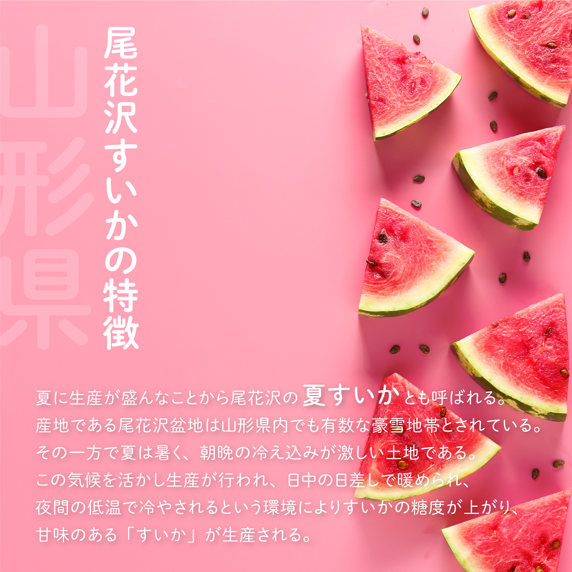 尾花沢すいかの特徴