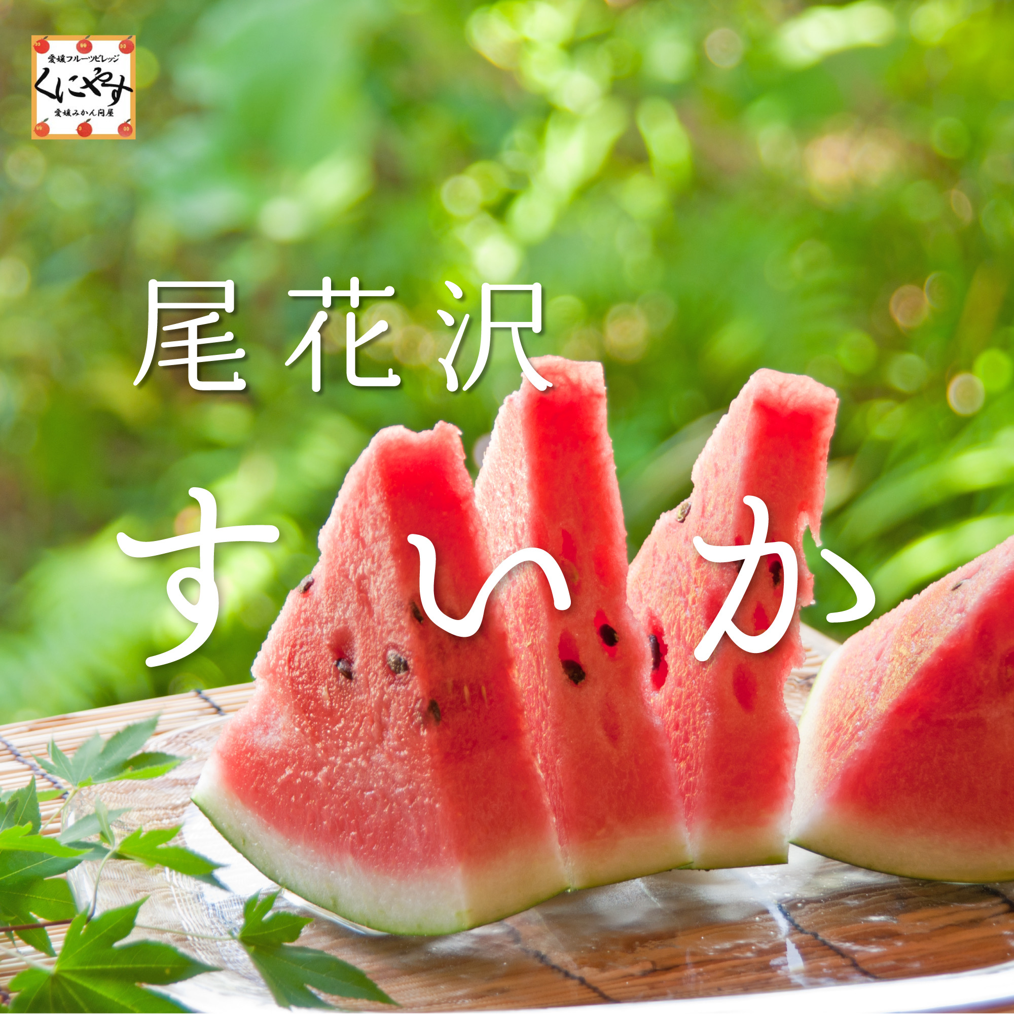 尾花沢すいかイメージ1