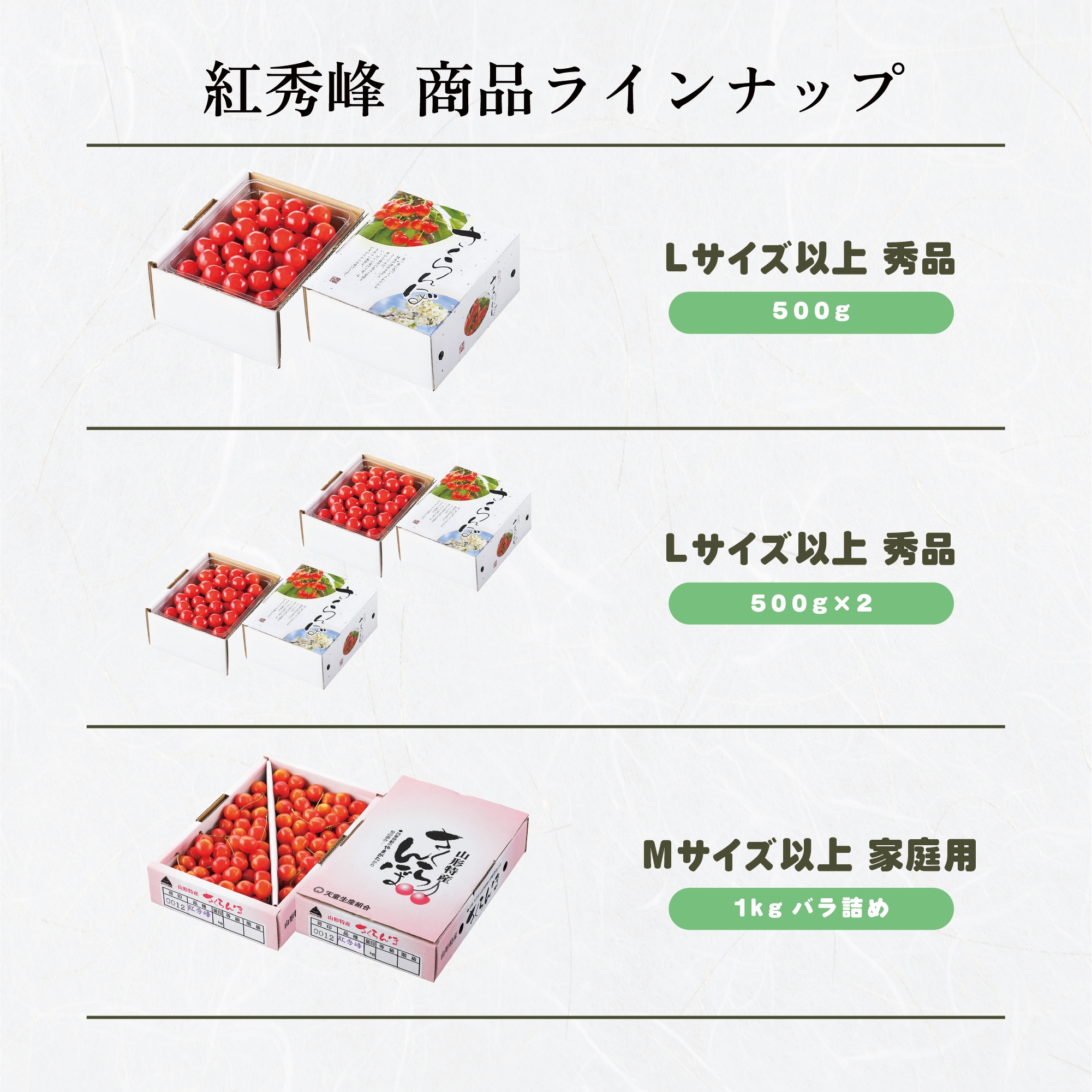 ラインナップ