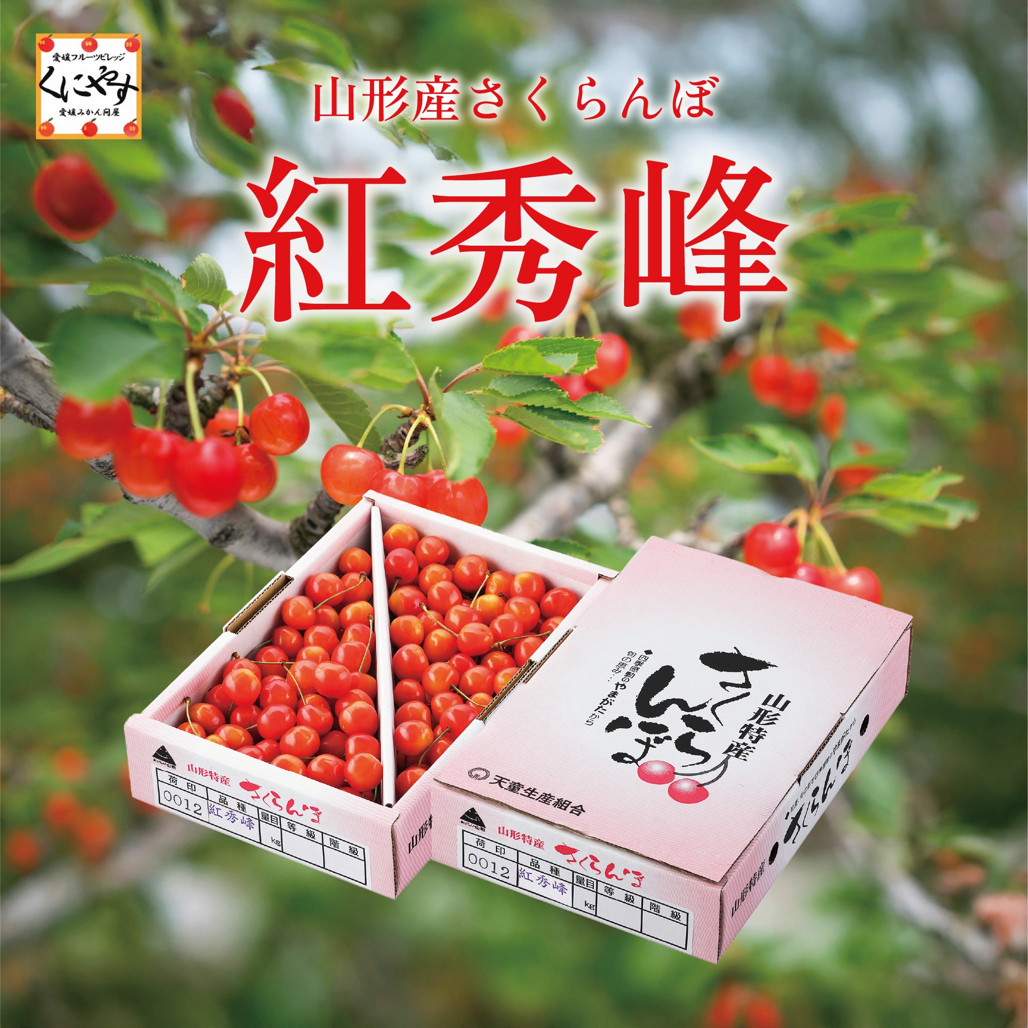 紅秀峰