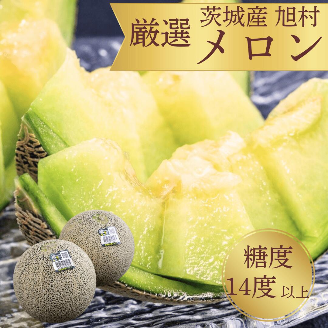 旭村メロン