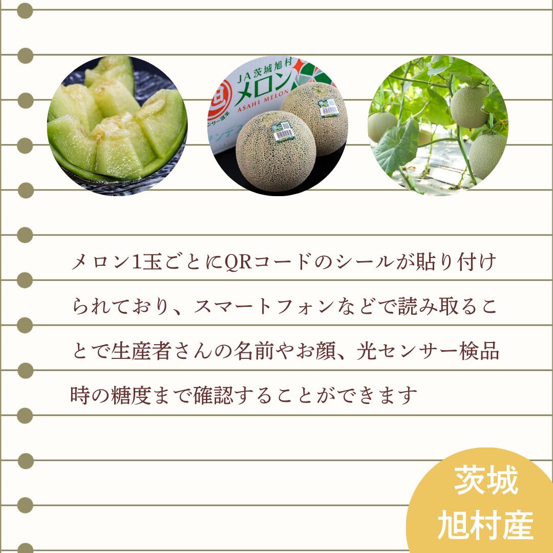 茨城県旭村産のメロンについて2