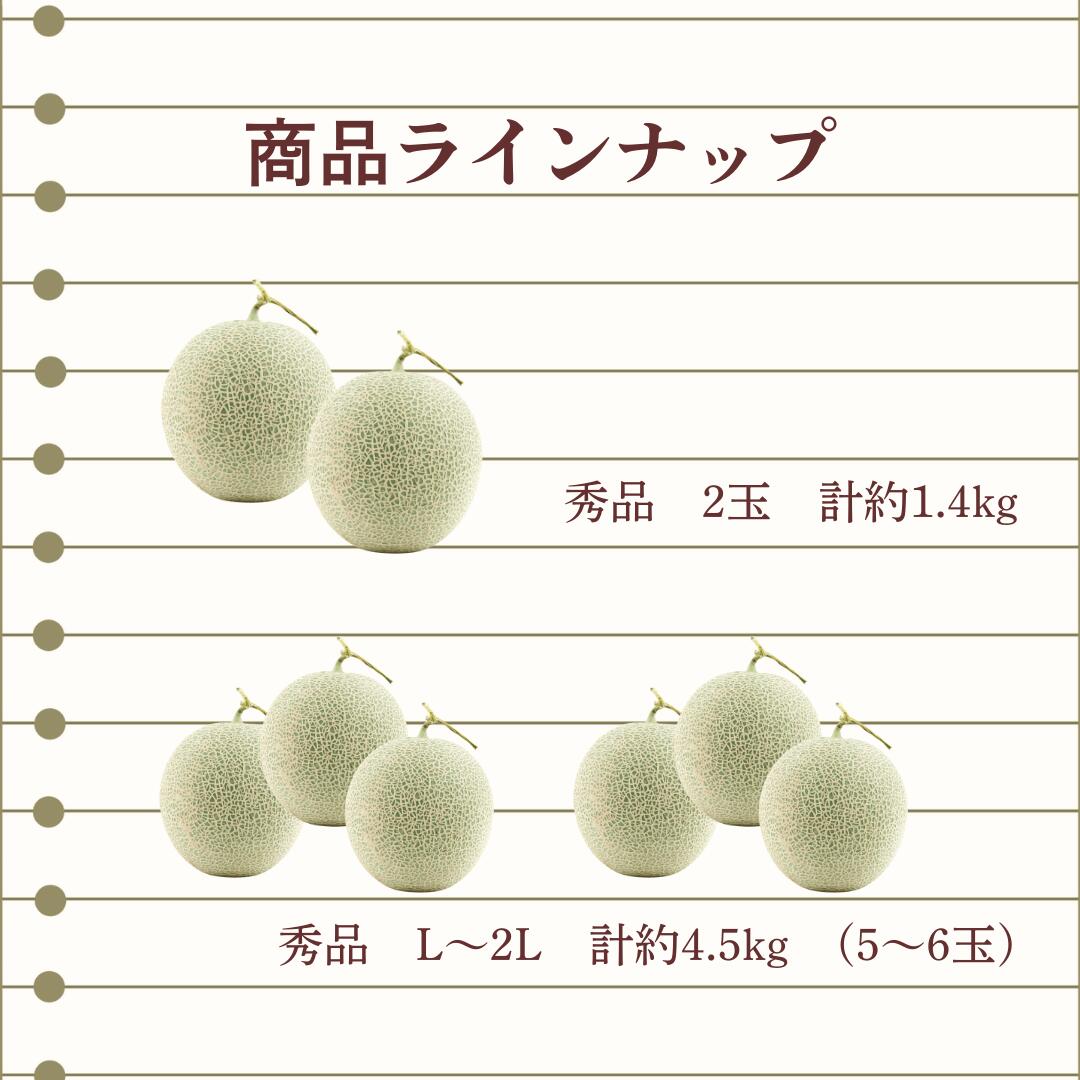 商品ラインナップ