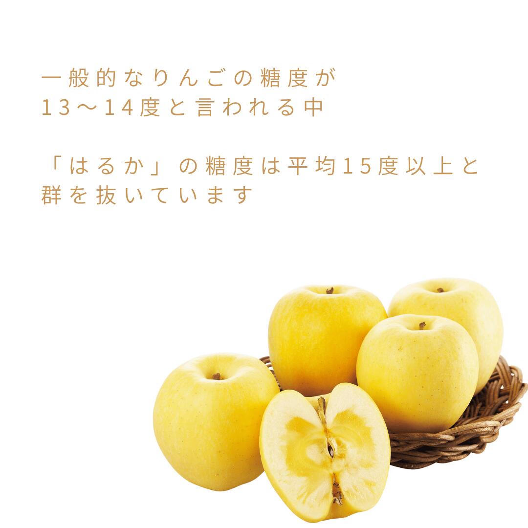 プリンセスはるか」☆糖度16度以上 保証品☆【送料無料】【産地直送