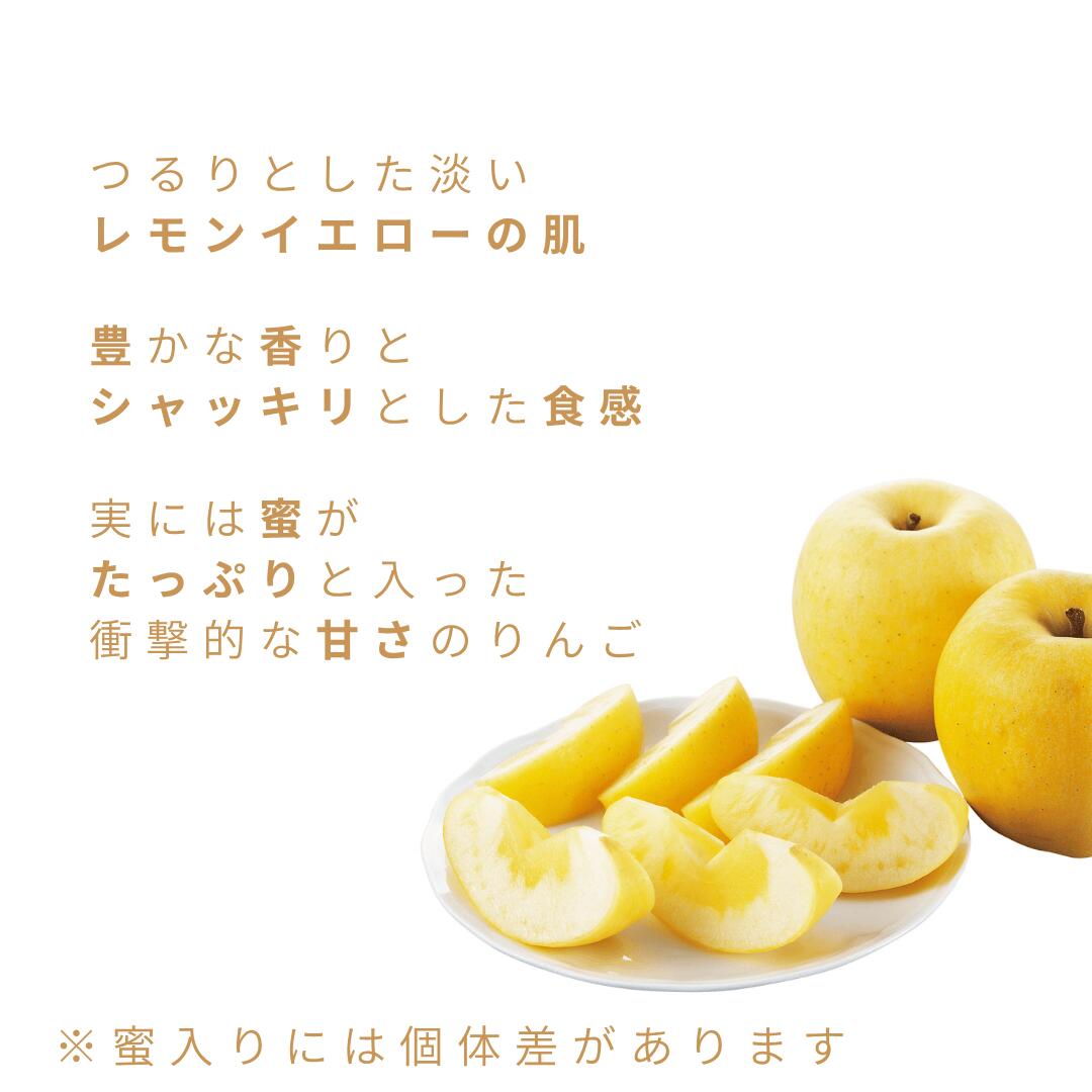 はるかりんご」☆黄金のりんご☆【送料無料】【産地直送】山形産