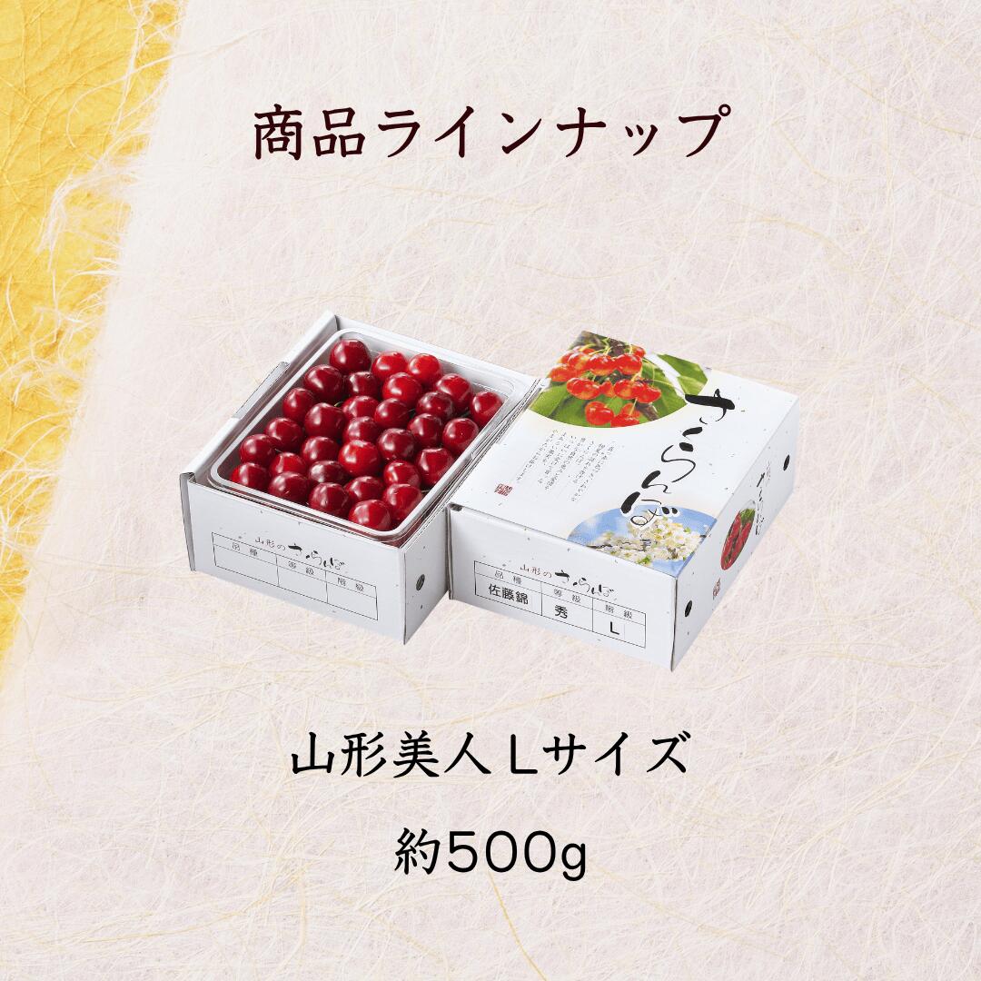 ３箱セット　①6月13日　山形美人　紅佐藤錦　生食用　１ｋｇ入り　山形県産 山形美人500」新発売【送料無料】【ギフト】【産地直送】山形産