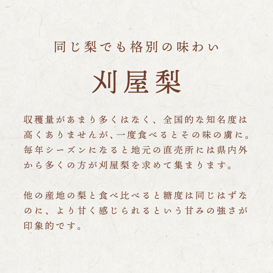刈屋梨について