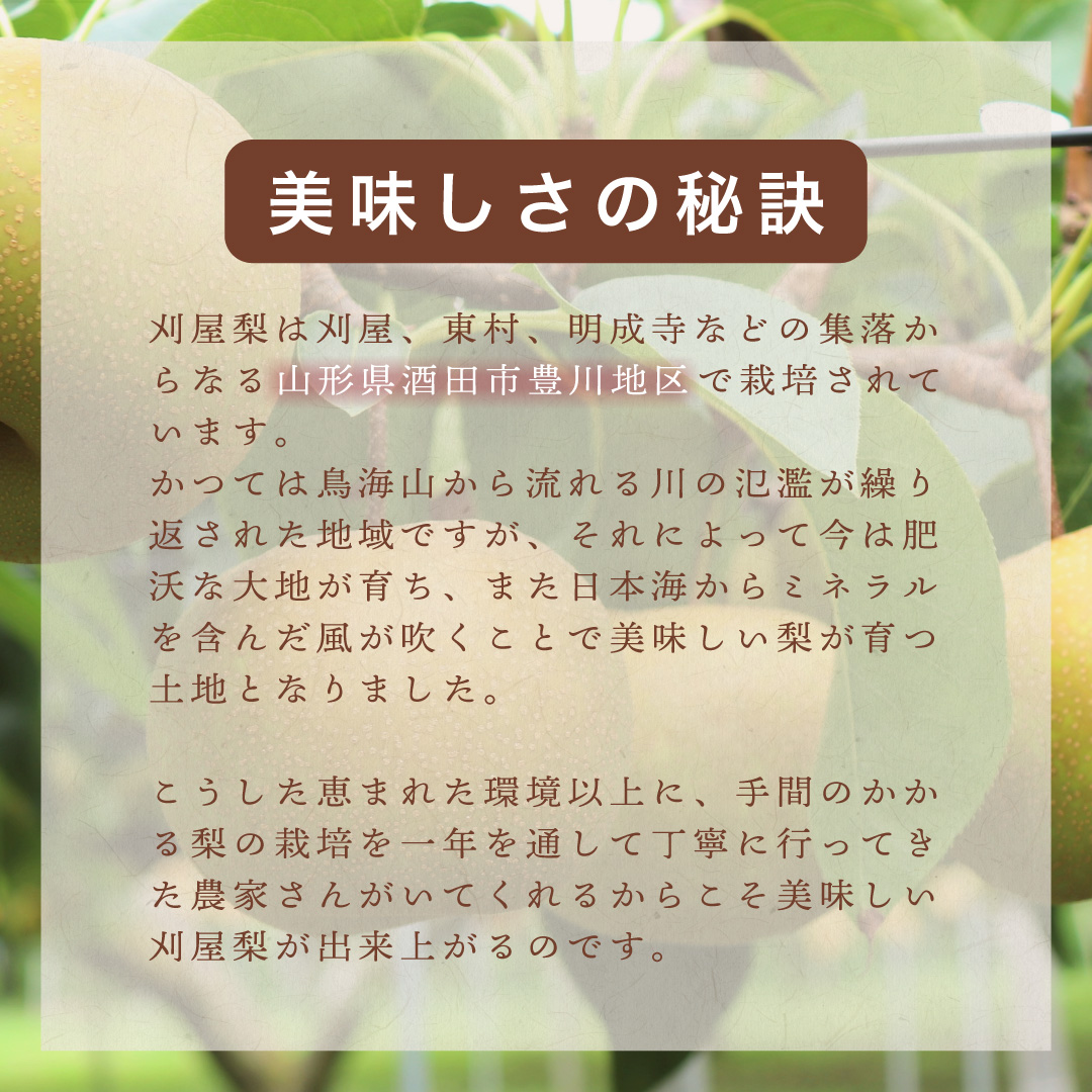 美味しさの秘訣