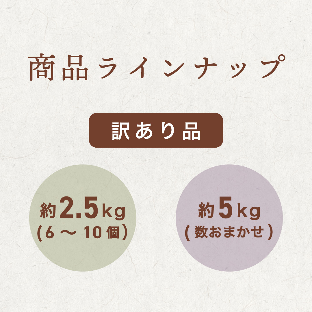 商品ラインナップ
